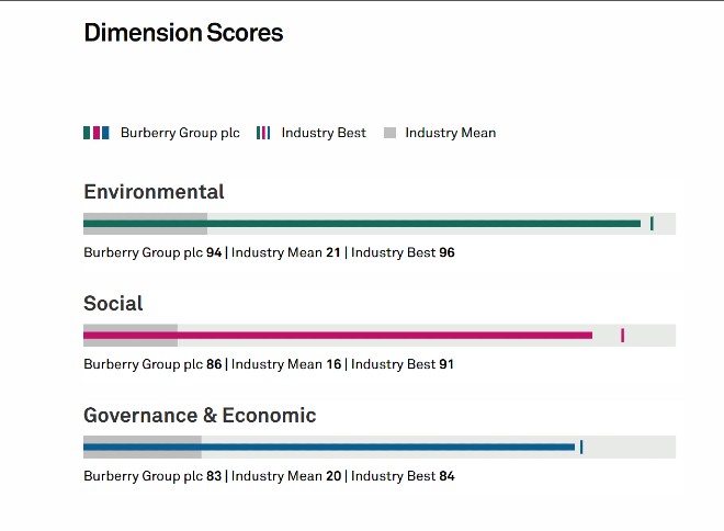 burberry sustainability dimensions