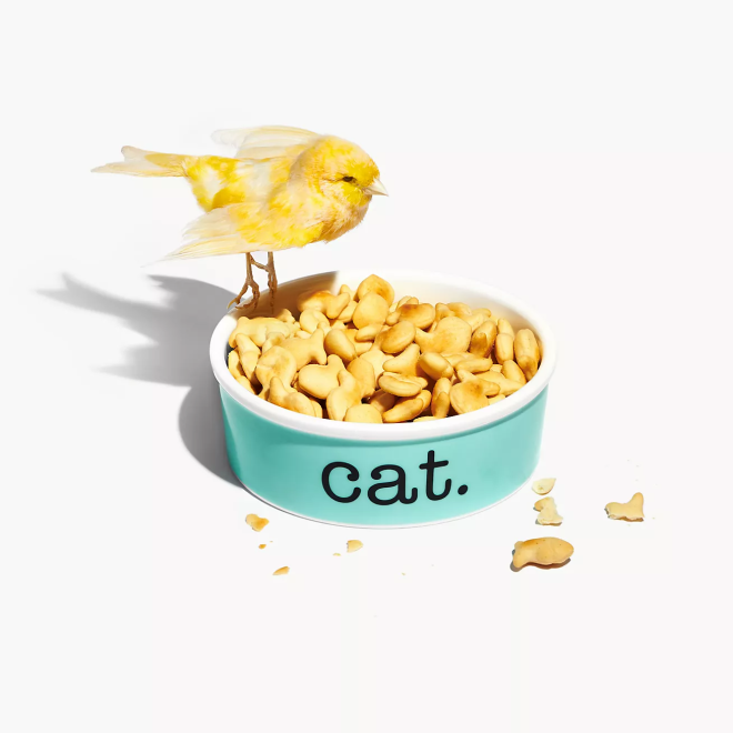 Tiffany & Co. Home & Accessories, cat bowl
